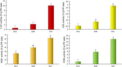 Transcriptomics and Metabolomics Reveal Purine and Phenylpropanoid Metabolism Response to Drought Stress in Dendrobium sinense, an Endemic Orchid Species in Hainan Island